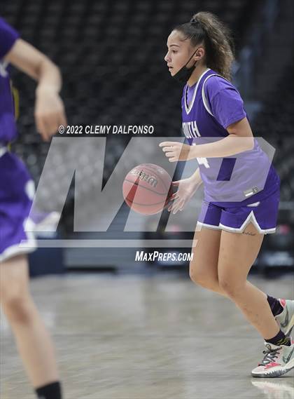 Thumbnail 1 in Denver South vs Dakota Ridge (Ball Arena) photogallery.