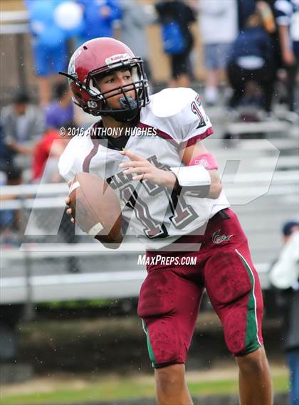 Thumbnail 1 in Glen Cove @ Hewlett photogallery.