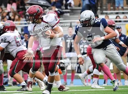 Thumbnail 1 in Glen Cove @ Hewlett photogallery.