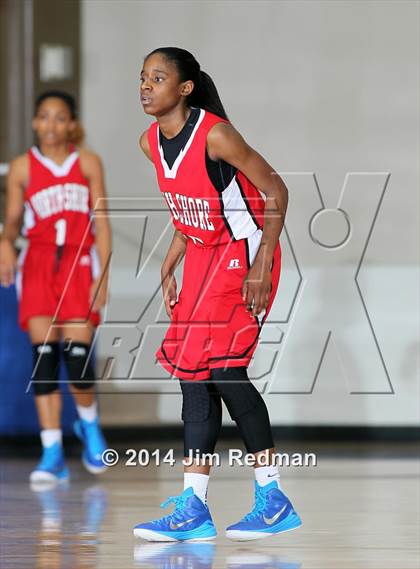 Thumbnail 1 in Flower Mound vs.Cypress Woods (McDonald's Texas Invitational) photogallery.