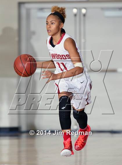Thumbnail 2 in Flower Mound vs.Cypress Woods (McDonald's Texas Invitational) photogallery.