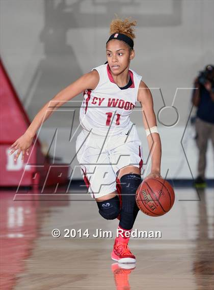 Thumbnail 1 in Flower Mound vs.Cypress Woods (McDonald's Texas Invitational) photogallery.