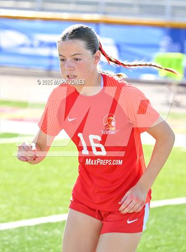 null - Photo 41