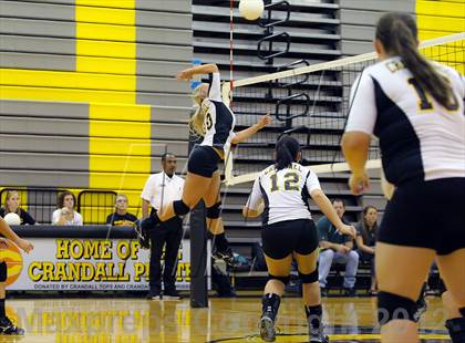Thumbnail 3 in Caddo Mills @ Crandall photogallery.