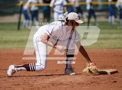 Thumbnail 1 in Ray vs San Pasqual photogallery.