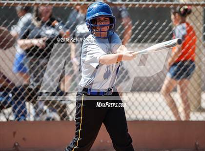 Thumbnail 2 in Ray vs San Pasqual photogallery.