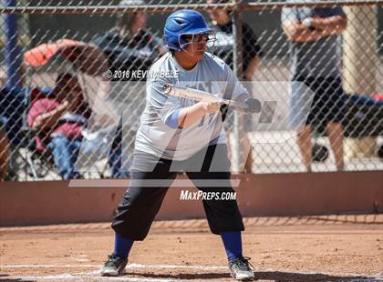 Thumbnail 1 in Ray vs San Pasqual photogallery.
