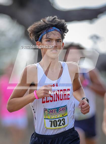 Thumbnail 1 in Mt SAC Invitational (Division 1 - Race 72) photogallery.