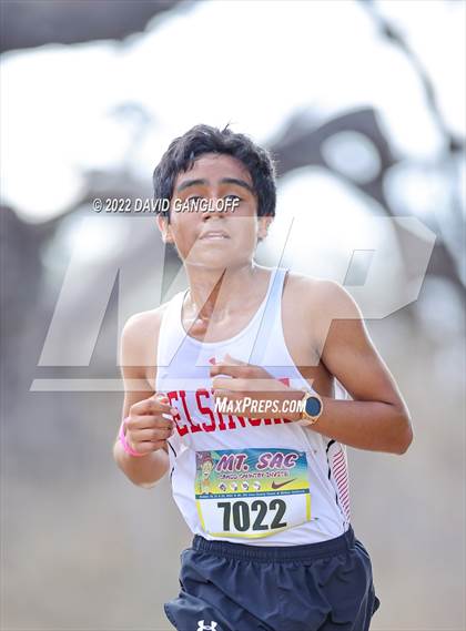 Thumbnail 3 in Mt SAC Invitational (Division 1 - Race 72) photogallery.