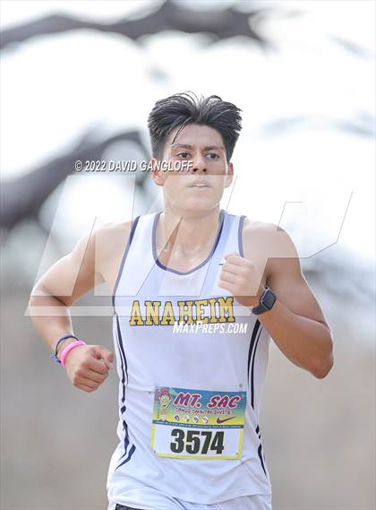 Thumbnail 1 in Mt SAC Invitational (Division 1 - Race 72) photogallery.