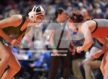 Thumbnail 1 in UIL State Championships - 5A 110lb Final photogallery.