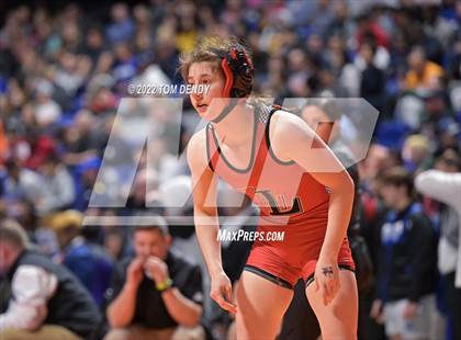 Thumbnail 3 in UIL State Championships - 5A 110lb Final photogallery.