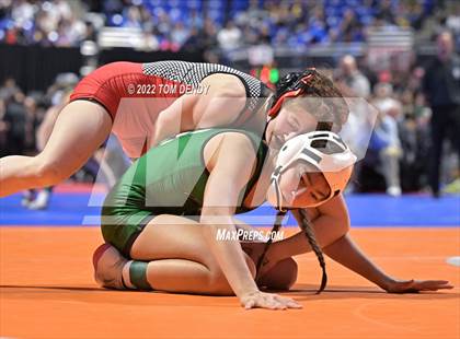 Thumbnail 1 in UIL State Championships - 5A 110lb Final photogallery.