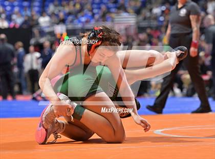 Thumbnail 2 in UIL State Championships - 5A 110lb Final photogallery.
