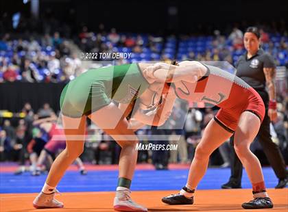 Thumbnail 2 in UIL State Championships - 5A 110lb Final photogallery.