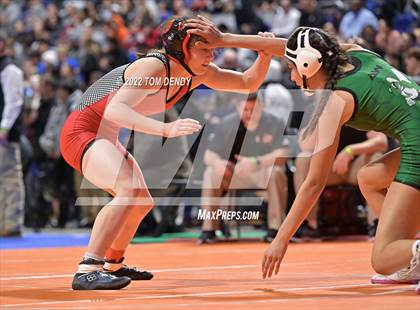 Thumbnail 3 in UIL State Championships - 5A 110lb Final photogallery.