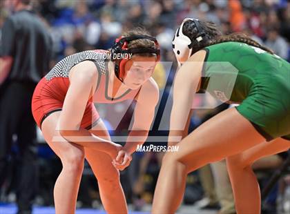 Thumbnail 1 in UIL State Championships - 5A 110lb Final photogallery.