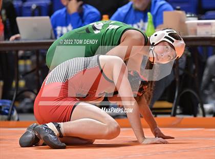 Thumbnail 2 in UIL State Championships - 5A 110lb Final photogallery.
