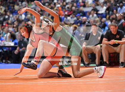 Thumbnail 2 in UIL State Championships - 5A 110lb Final photogallery.