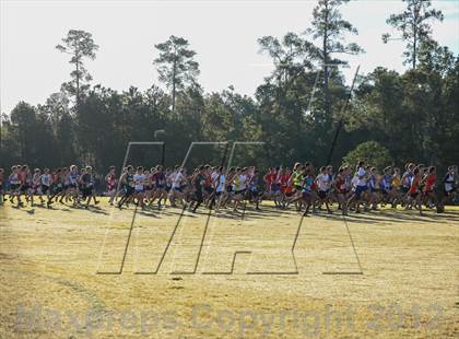 Thumbnail 3 in Nike Cross South photogallery.