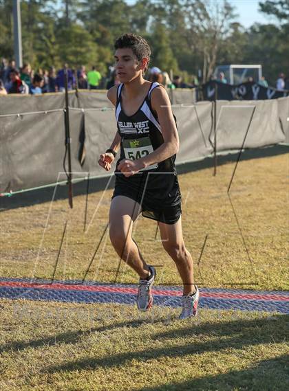 Thumbnail 1 in Nike Cross South photogallery.
