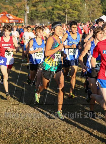 Thumbnail 1 in Nike Cross South photogallery.