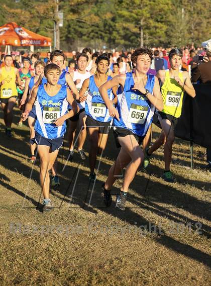 Thumbnail 2 in Nike Cross South photogallery.