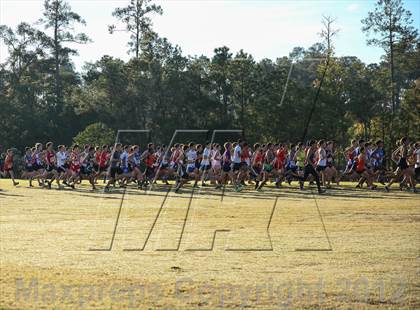 Thumbnail 1 in Nike Cross South photogallery.