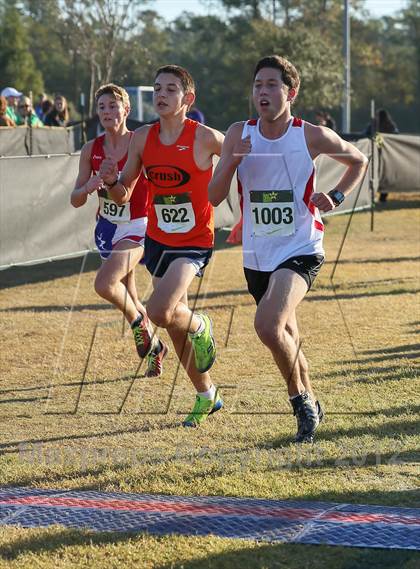 Thumbnail 2 in Nike Cross South photogallery.