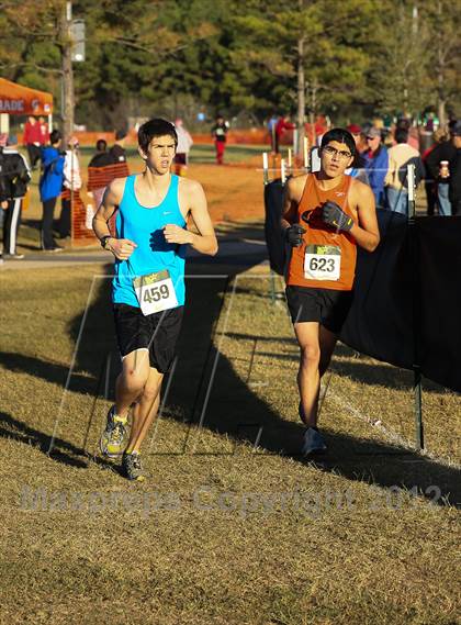 Thumbnail 1 in Nike Cross South photogallery.