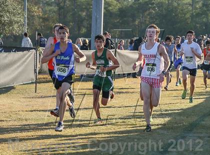 Thumbnail 2 in Nike Cross South photogallery.