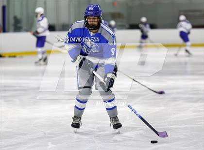 Thumbnail 1 in Montclair @ Scotch Plains-Fanwood photogallery.