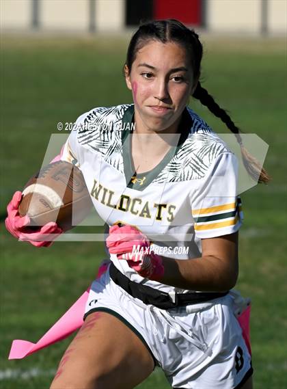 Thumbnail 1 in Brea Olinda @ Troy photogallery.
