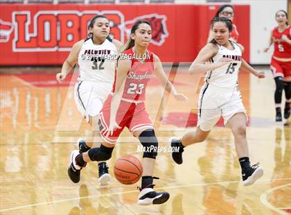 Thumbnail 2 in Sharyland @ Palmview photogallery.