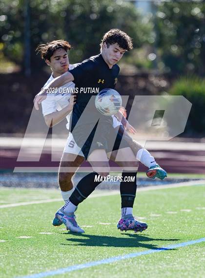 Thumbnail 2 in Junipero Serra @ Mountain View photogallery.