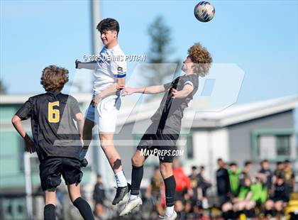 Thumbnail 3 in Junipero Serra @ Mountain View photogallery.