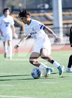 Photo from the gallery "Junipero Serra @ Mountain View"