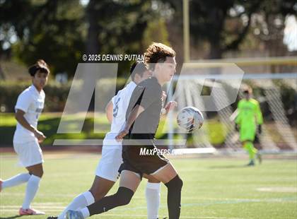 Thumbnail 3 in Junipero Serra @ Mountain View photogallery.