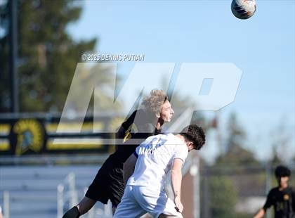 Thumbnail 1 in Junipero Serra @ Mountain View photogallery.
