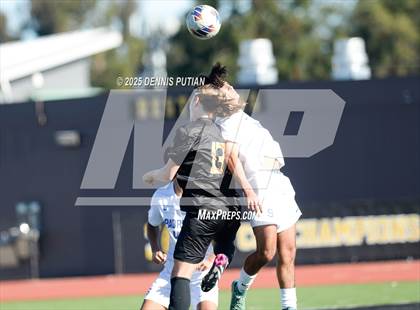 Thumbnail 2 in Junipero Serra @ Mountain View photogallery.