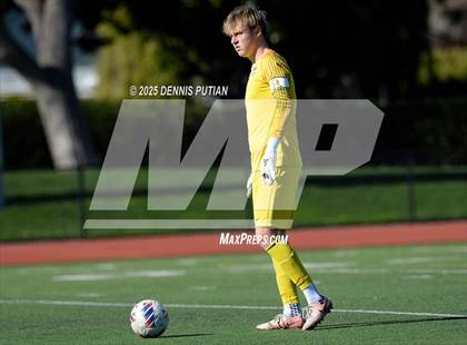 Thumbnail 3 in Junipero Serra @ Mountain View photogallery.