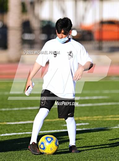 null - Photo 01