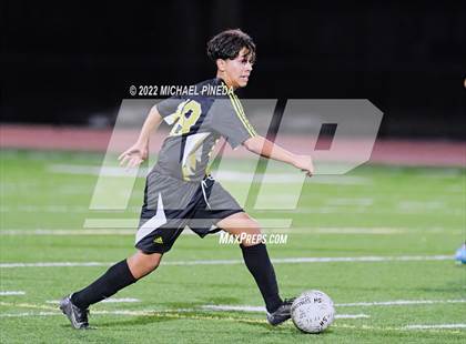 Thumbnail 2 in Panorama vs. Sunny Hills (CIF SoCal Regional D3 First Round) photogallery.