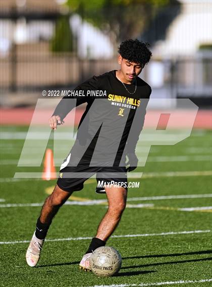 Thumbnail 1 in Panorama vs. Sunny Hills (CIF SoCal Regional D3 First Round) photogallery.