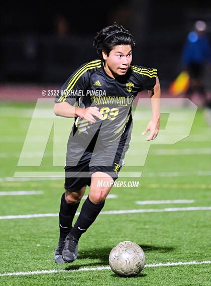 Thumbnail 1 in Panorama vs. Sunny Hills (CIF SoCal Regional D3 First Round) photogallery.