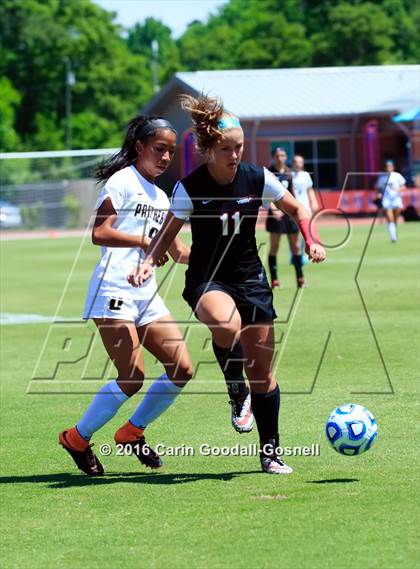 Thumbnail 1 in Providence vs. Middle Creek (NCHSAA 4A Final) photogallery.