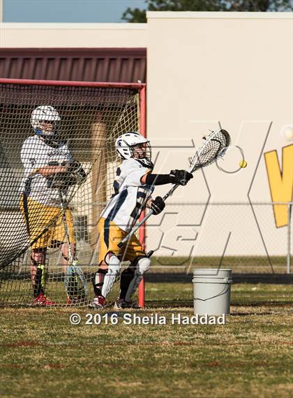 Thumbnail 3 in Wharton @ Steinbrenner photogallery.