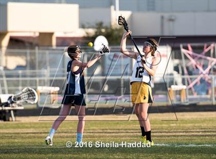 Thumbnail 3 in Wharton @ Steinbrenner photogallery.