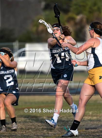 Thumbnail 3 in Wharton @ Steinbrenner photogallery.