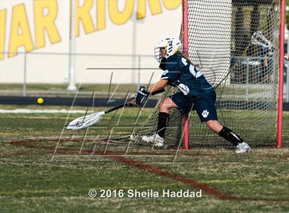 Thumbnail 3 in Wharton @ Steinbrenner photogallery.
